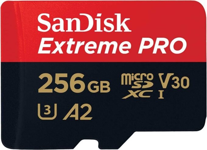 Carte mémoire SD 256 Go