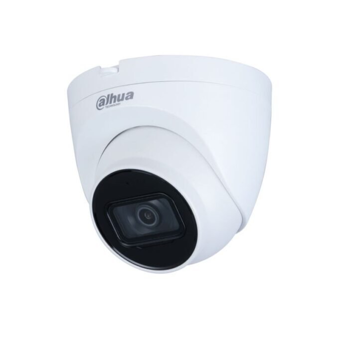 Caméra Eyeball IP 2MP